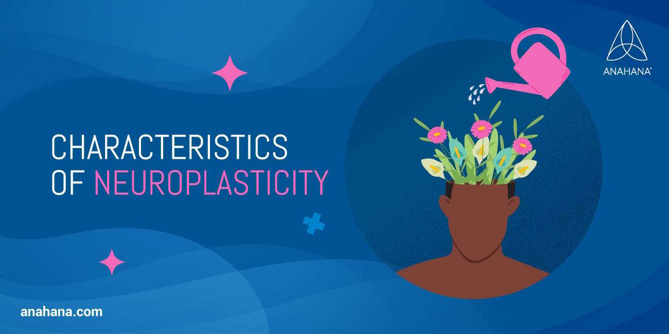 What-is-Neuroplasticity-third-website