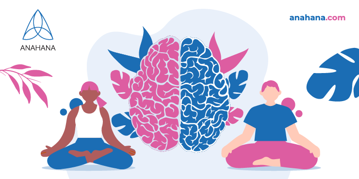 FAQ about the what the central nervous system is