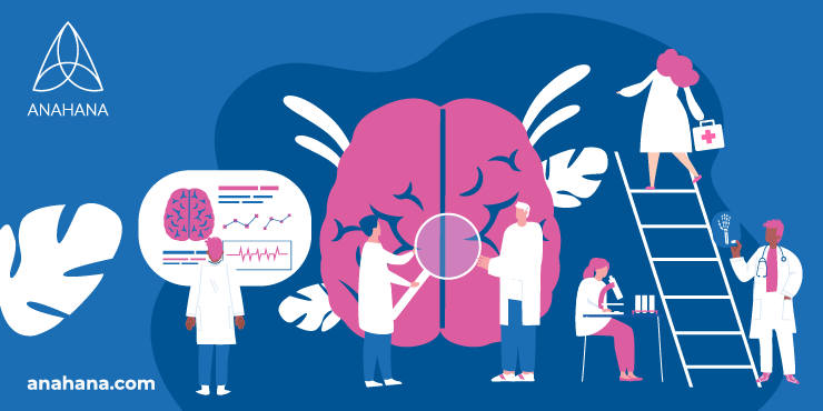 the central nervous system explained