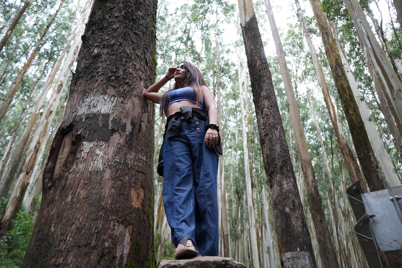 การอาบป่า