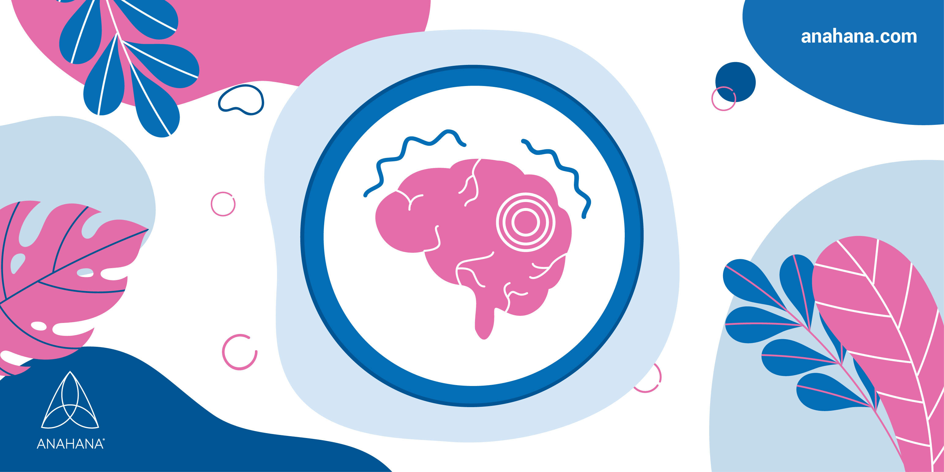 ¿Cómo encaja el SNS con el resto del sistema nervioso?