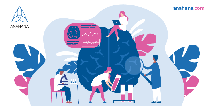 the nervous system, brain and its functions