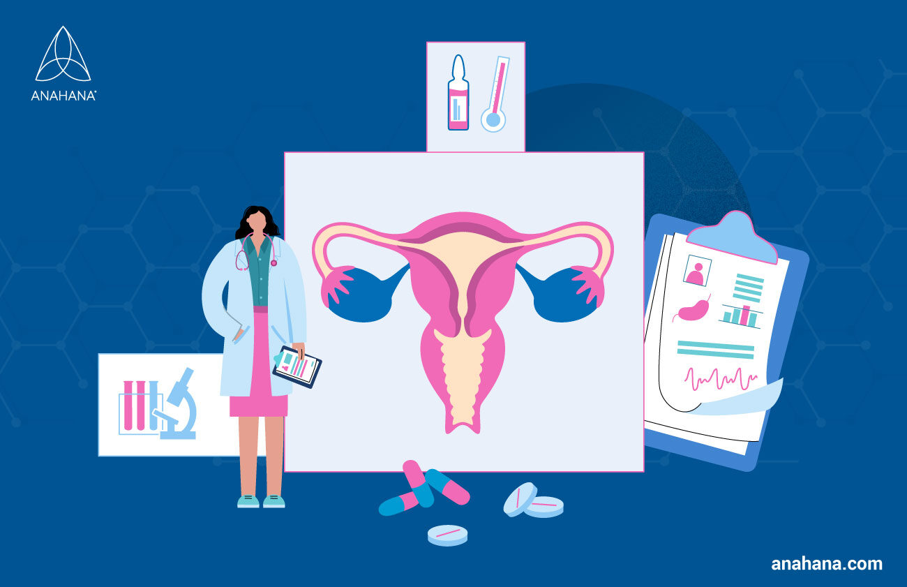 illustration of the female ovaries