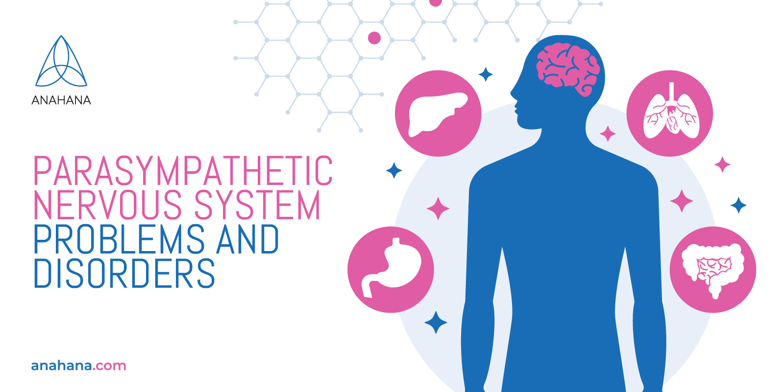 parasympathetic nervous system problems and disorders