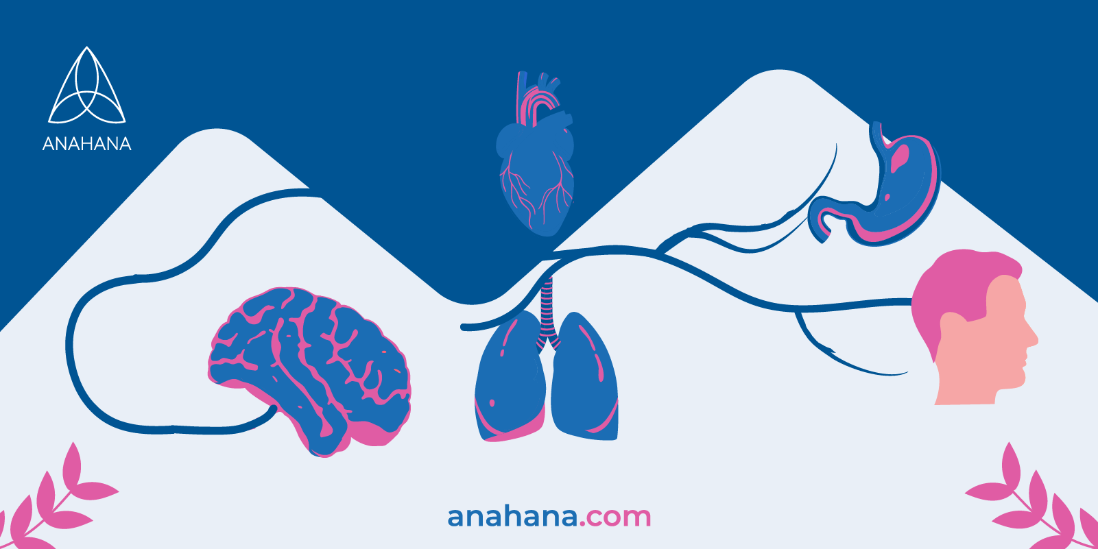 vagal done explained