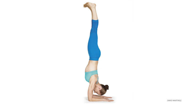 forearm stand yoga pose