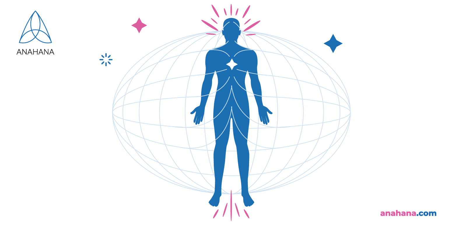 physiology of the different chakra energies