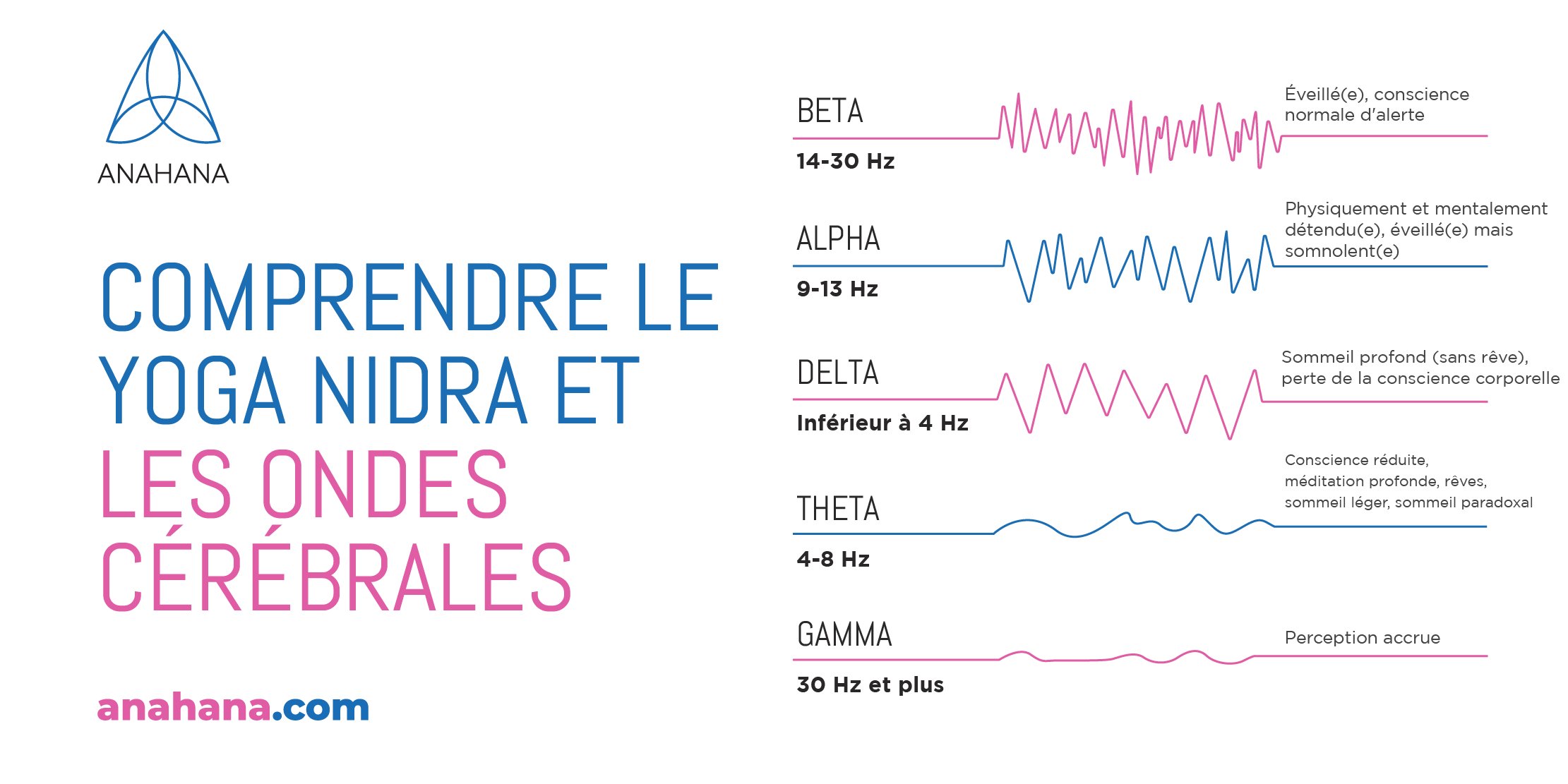 yoga nidra et ondes cérébrales