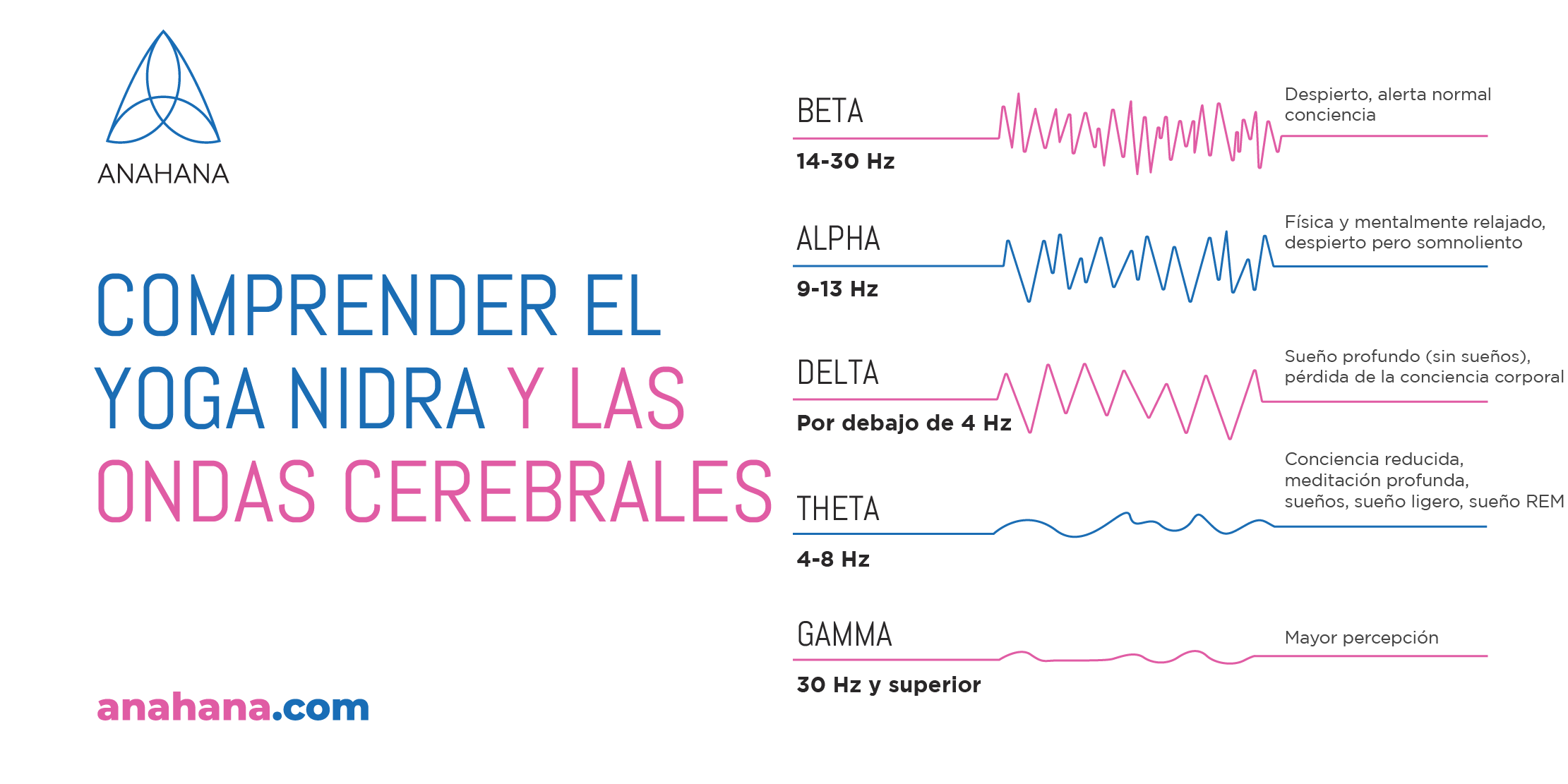 yoga nidra y ondas cerebrales